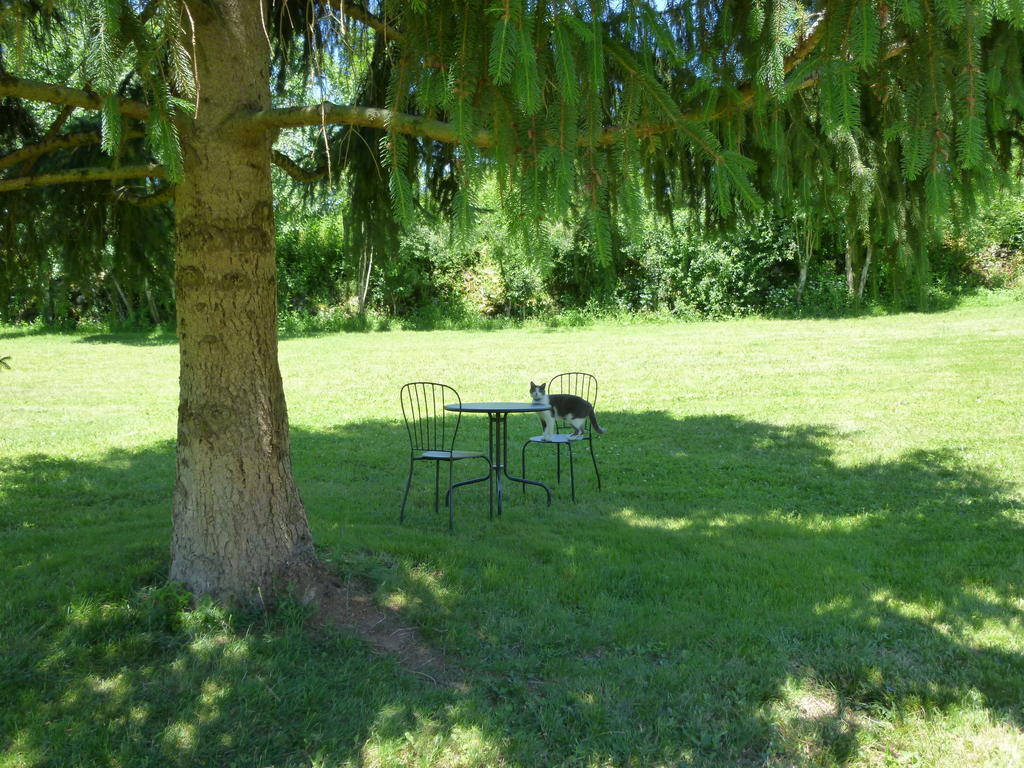 Bed and Breakfast Au Mas De Gamet Theminettes Екстер'єр фото