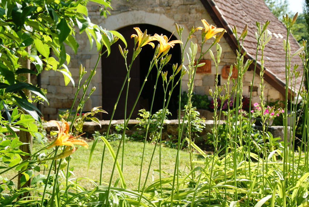 Bed and Breakfast Au Mas De Gamet Theminettes Екстер'єр фото