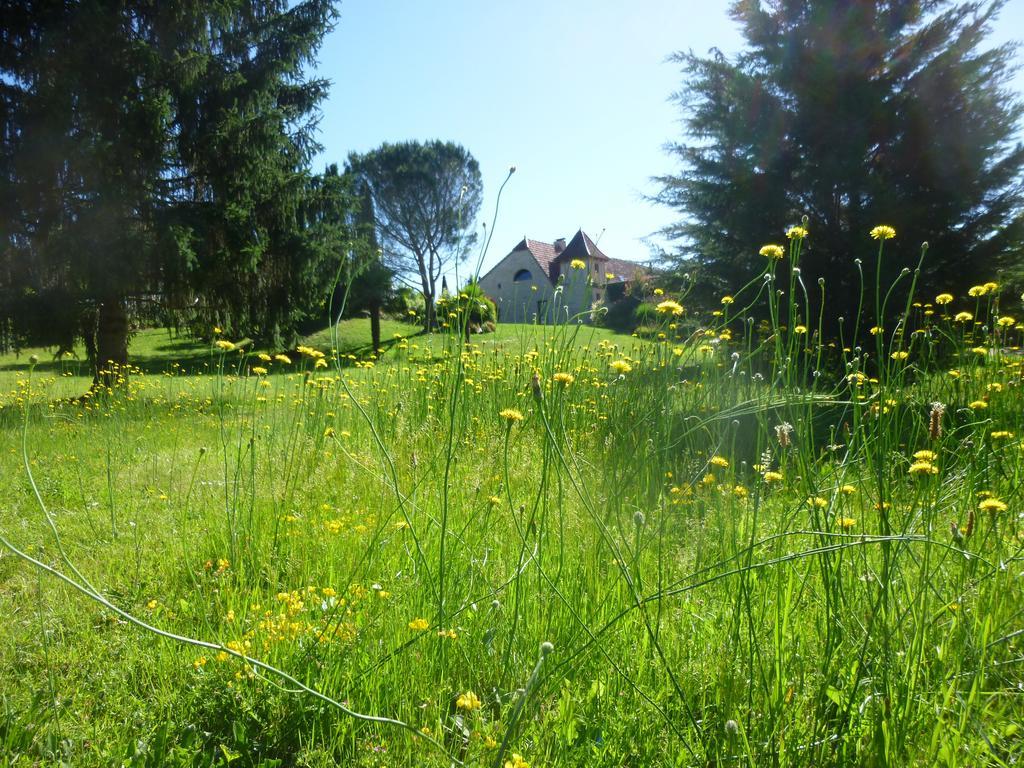 Bed and Breakfast Au Mas De Gamet Theminettes Екстер'єр фото